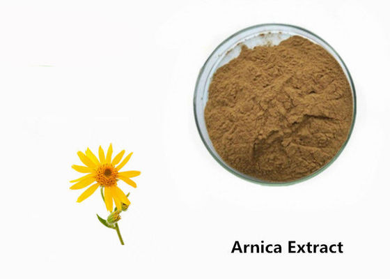 ประเทศจีน ผงสารสกัดจากพืช Arnica ผู้ผลิต
