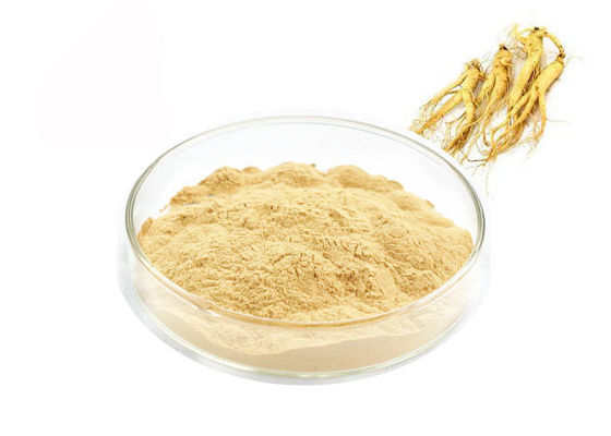 ประเทศจีน อาหารเกรด Panaxoside Ginseng Extract Powder สำหรับผลิตภัณฑ์สุขภาพ ผู้ผลิต