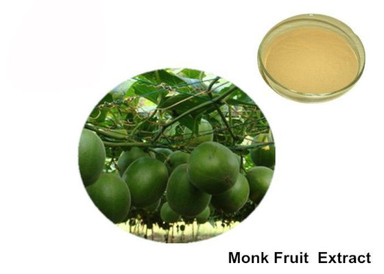 ประเทศจีน 40% Mogroside Organic Monk Fruit Powder สารให้ความหวานธรรมชาติ ผู้ผลิต