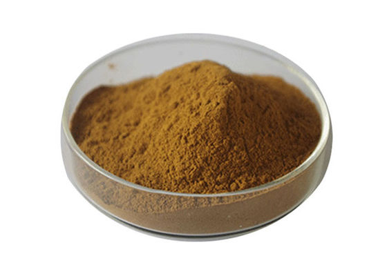 เป็นเจ้าของความดันโลหิตแปะก๊วย Biloba Bulk Powder ผู้ผลิต