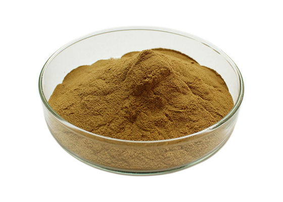 เป็นเจ้าของความดันโลหิตแปะก๊วย Biloba Bulk Powder ผู้ผลิต