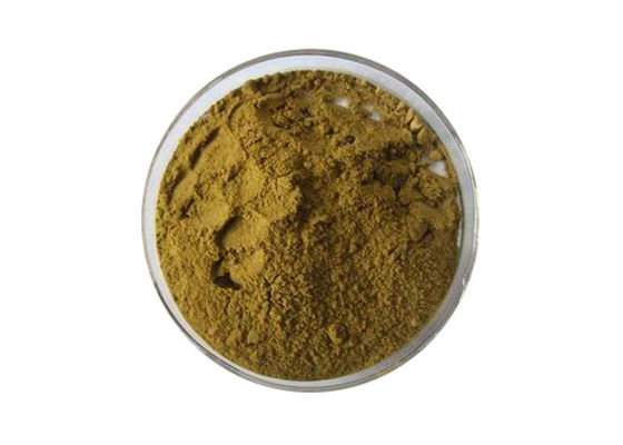 อาหารเกรดโภชนาการสีน้ำตาลแป๊ะก๊วย Biloba Leaf Extract Powder ผู้ผลิต