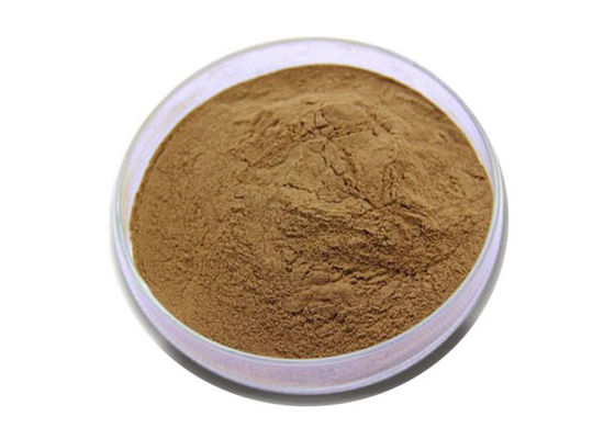 เกรดทางการแพทย์ต่อต้านอนุมูลอิสระบริสุทธิ์แปะก๊วย Biloba สารสกัดจากผง ผู้ผลิต