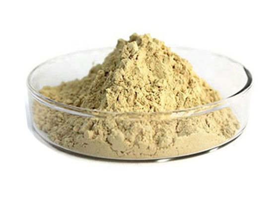ยา 80% Panax Root ธรรมชาติโสมสกัดผง ผู้ผลิต