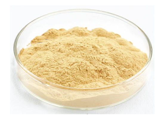 อาหารเกรด Panaxoside Ginseng Extract Powder สำหรับผลิตภัณฑ์สุขภาพ ผู้ผลิต