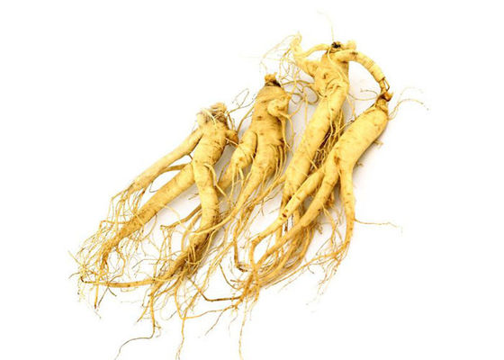 อาหารเกรด Panaxoside Ginseng Extract Powder สำหรับผลิตภัณฑ์สุขภาพ ผู้ผลิต