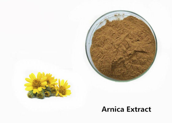ผงสารสกัดจากพืช Arnica ผู้ผลิต