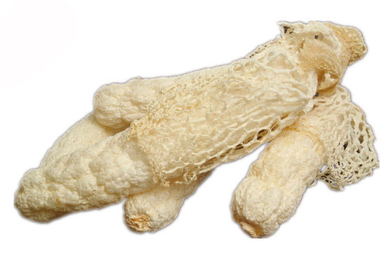 สารสกัดอินทรีย์ Dictyophora Indusiata ผู้ผลิต