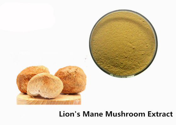 Anti Viral 50% Beta D Glucan ออร์แกนิค Lion'S Mane Powder Powder ผู้ผลิต