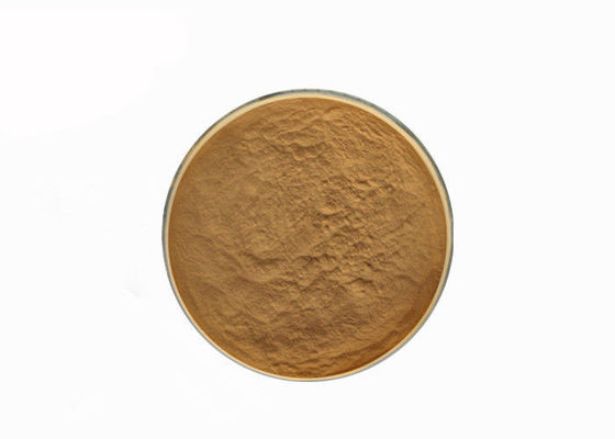 Hericum Erinaceus 10% Polysaccharides เห็ดสกัดผง ผู้ผลิต