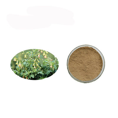 ความบริสุทธิ์สูงต่อต้านมะเร็ง Polysaccharides Astragalus Extract Powder ผู้ผลิต