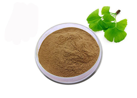 ผง Biloba แปะก๊วยเกรด USP เกรดอินทรีย์ ผู้ผลิต