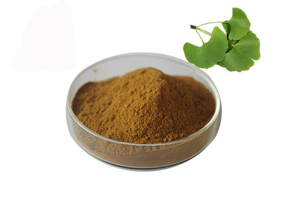 เป็นเจ้าของความดันโลหิตแปะก๊วย Biloba Bulk Powder ผู้ผลิต
