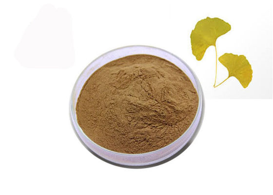 24% Flavones 6% Lactones บริสุทธิ์ธรรมชาติแปะก๊วย Biloba สารสกัดจากผง ผู้ผลิต