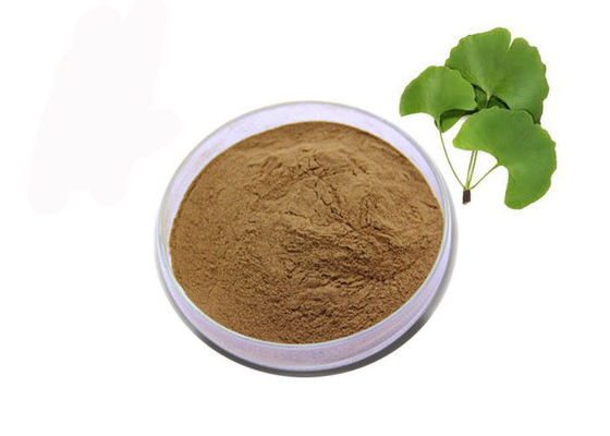 อาหารเกรดโภชนาการสีน้ำตาลแป๊ะก๊วย Biloba Leaf Extract Powder ผู้ผลิต