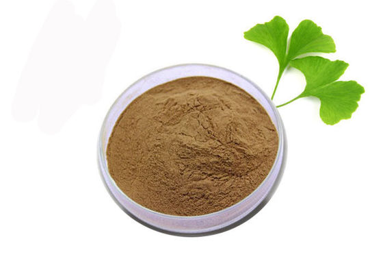 เกรดทางการแพทย์ต่อต้านอนุมูลอิสระบริสุทธิ์แปะก๊วย Biloba สารสกัดจากผง ผู้ผลิต