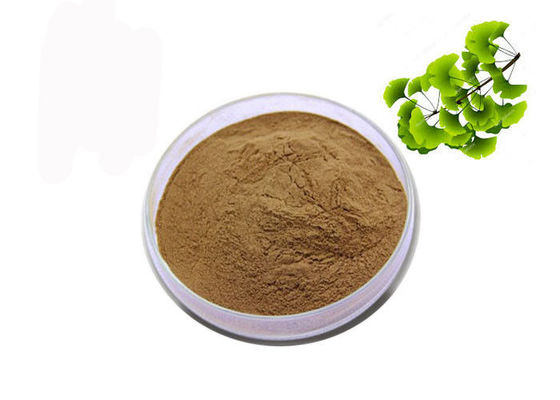 CAS 90045-36-6 Organic Dry Leaves สารสกัดจากแปะก๊วย Biloba ผู้ผลิต