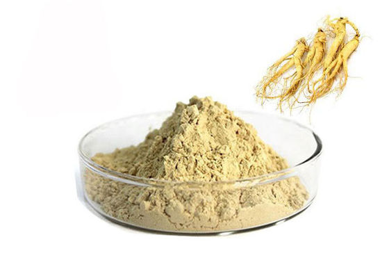 ยา 80% Panax Root ธรรมชาติโสมสกัดผง ผู้ผลิต