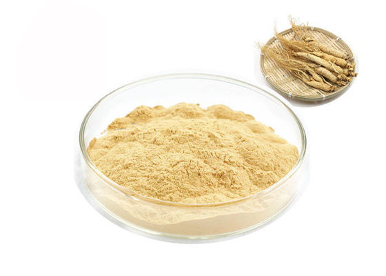 รากไซบีเรียอินทรีย์ 30% 80% Ginsenosides สารสกัดจากโสมบริสุทธิ์ ผู้ผลิต