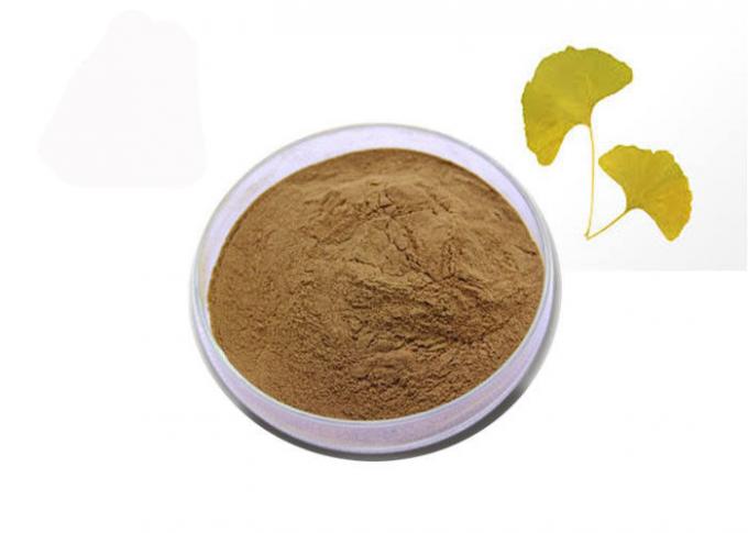 24% Flavones 6% Lactones บริสุทธิ์ธรรมชาติแปะก๊วย Biloba สารสกัดจากผง 0