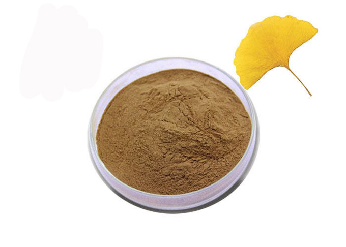 ยาเกรดแปะก๊วย Biloba สารสกัดจากผงสำหรับการดูแลสุขภาพ 0