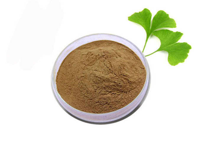 เกรดทางการแพทย์ต่อต้านอนุมูลอิสระบริสุทธิ์แปะก๊วย Biloba สารสกัดจากผง 0